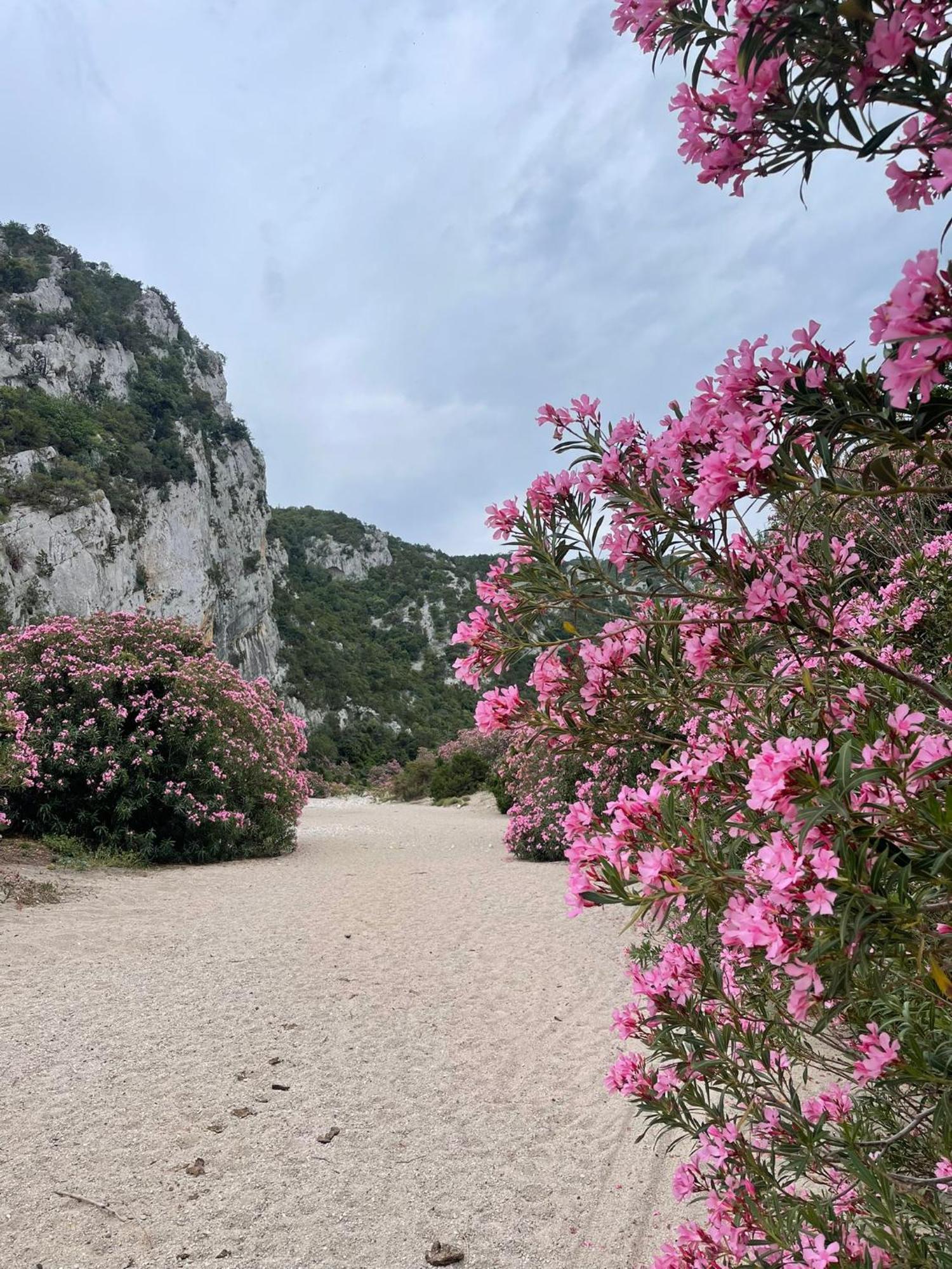 Hotel Sa Troppa De Sos Chentu Dorgali Exterior foto